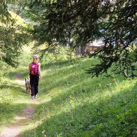 Les Rocailles Apartamento Haudères