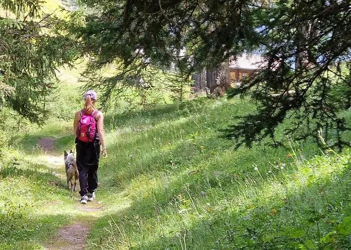Les Rocailles 아파트 Haudères